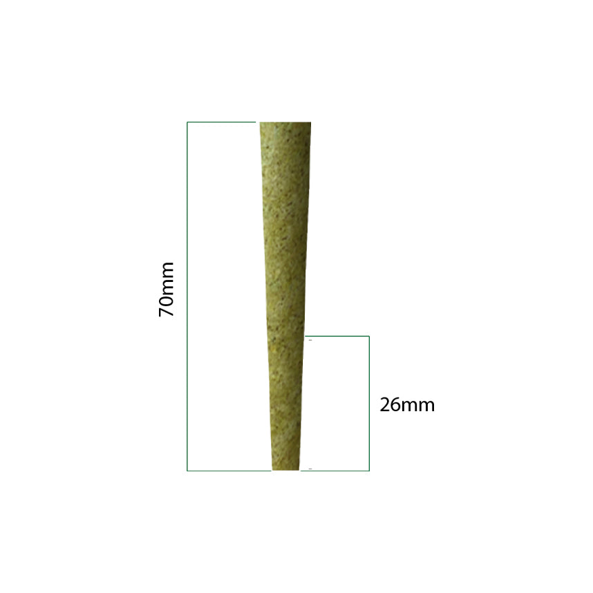 Bulk Cones: Green